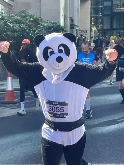 Panda running 